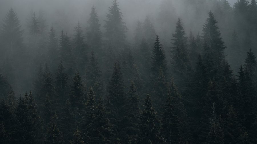 The Dark Side of OTAs: How to Reduce Dependency with Direct Guest Relationships